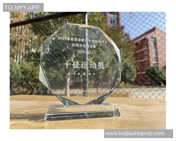 南京羽毛球队意识对比深度解析与发展潜力探讨