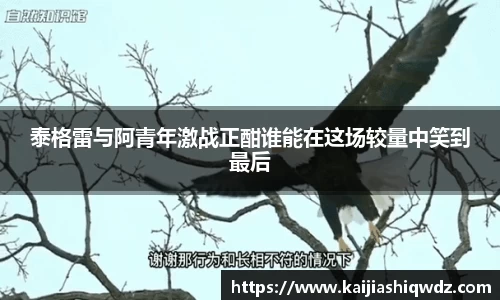 泰格雷与阿青年激战正酣谁能在这场较量中笑到最后